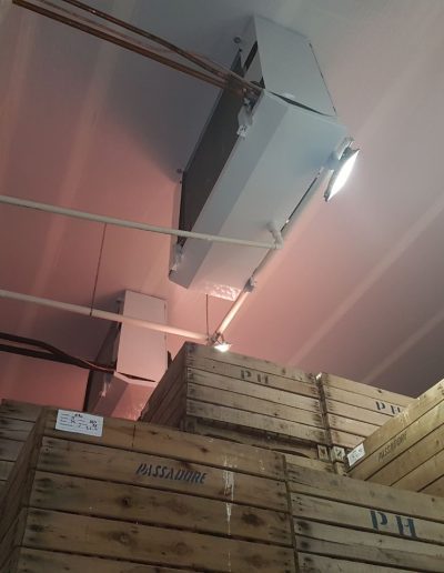 atmósfera controlada dinámicamente